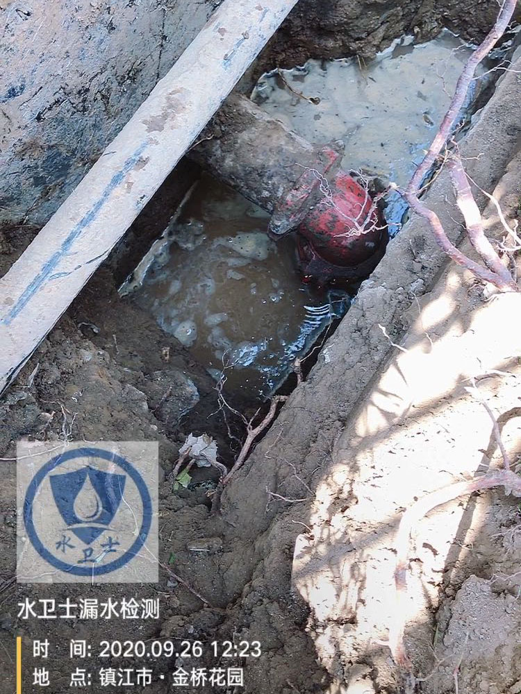 【外網(wǎng)測(cè)漏】鎮(zhèn)江金橋花園小區(qū)